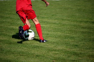 星空体育电竞-深圳佳兆业力克长春亚泰，保持不败势头，深圳佳兆业俱乐部地址